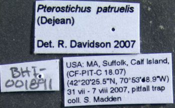 Media type: image;   Entomology 600455 Aspect: labels